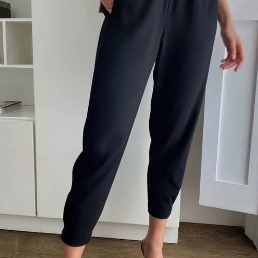 Aritzia Babaton Dexter Pants